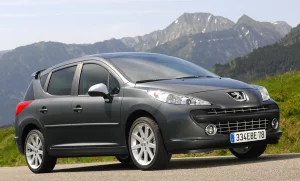 Peugeot 207 usado